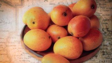 Alphonso Mangoes
