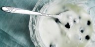 yogurt