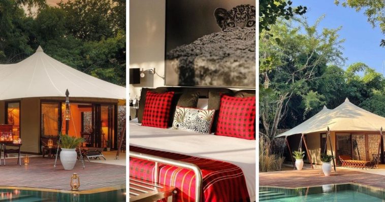 8 Best Places to Go Glamping in India