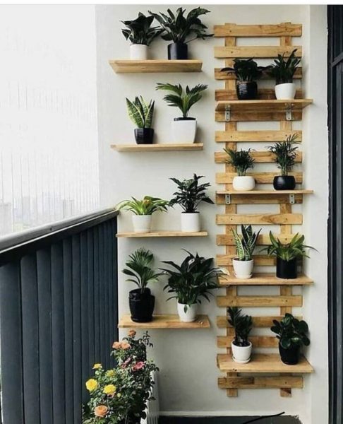 Install a planter wall in Balcony