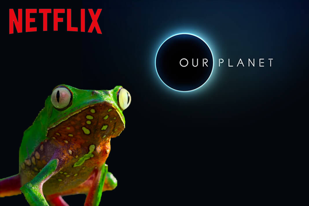 Netflix Our Planet Educational Shows and Series