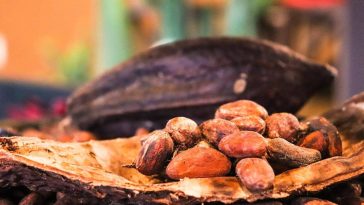 International Chocolate Day 2022: Know All About The History Of Chocolate