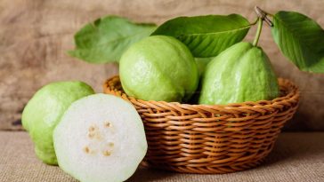 The Nutritional Powerhouse: Guava and Its Health Benefits