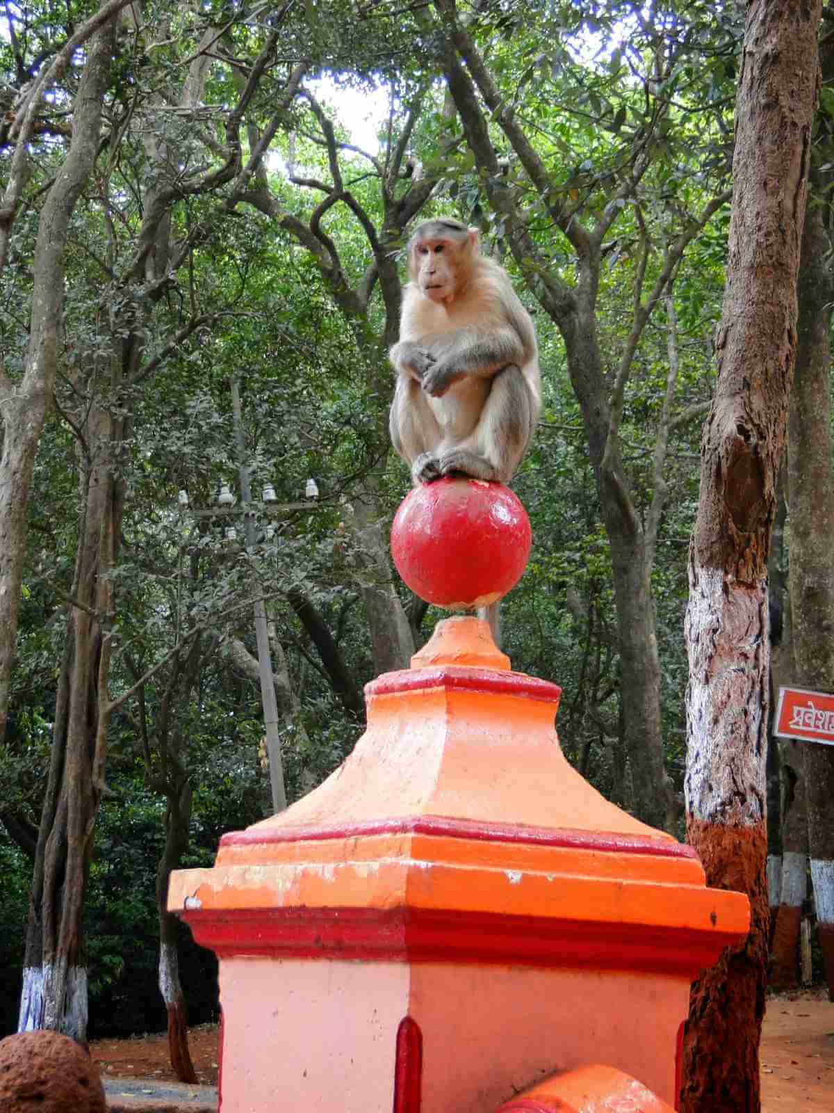 pisarnath-mahadev-mandir-matheran-monkey