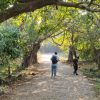 Kankeshwar Temple Nature Trail: A Peaceful Winter Trek Near Alibag