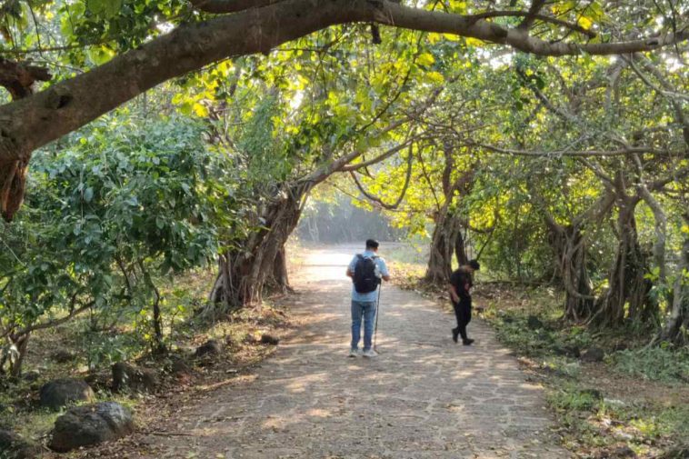 Kankeshwar Temple Nature Trail: A Peaceful Winter Trek Near Alibag