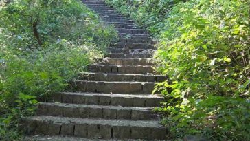 Korai Gad Trek: A Perfect One-Day Escape from the City