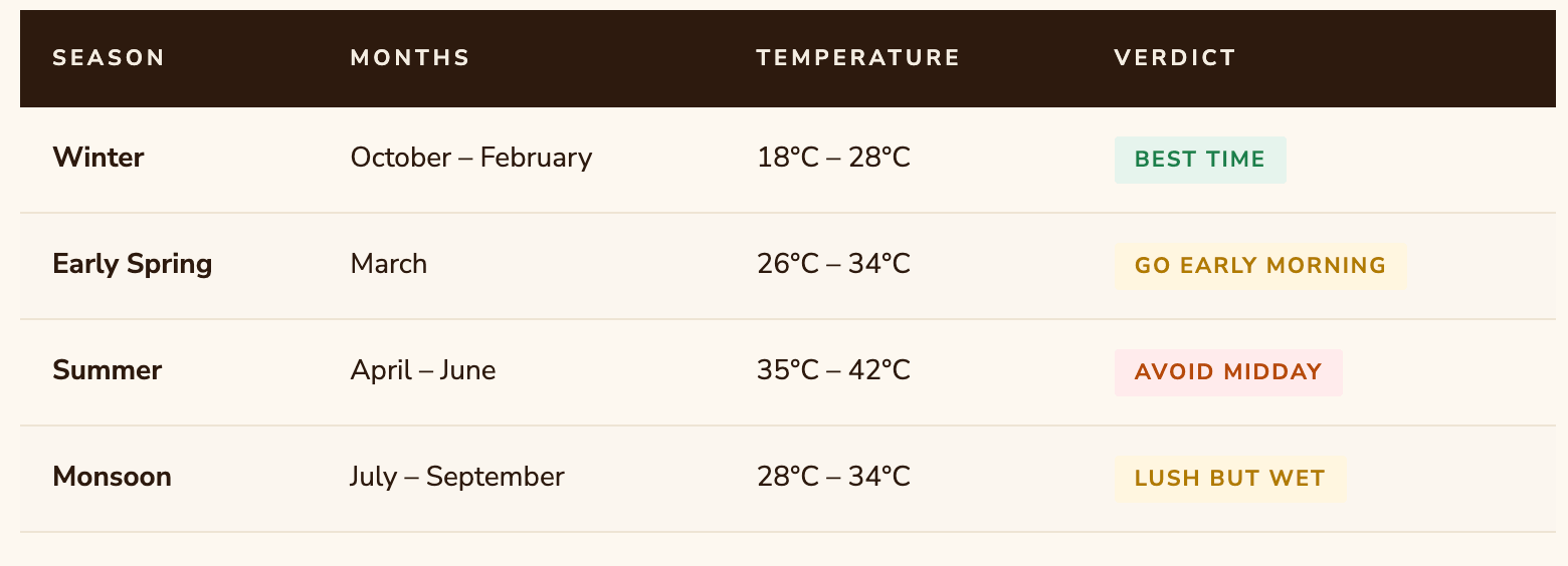 best-time-to-visit-konark-odisha